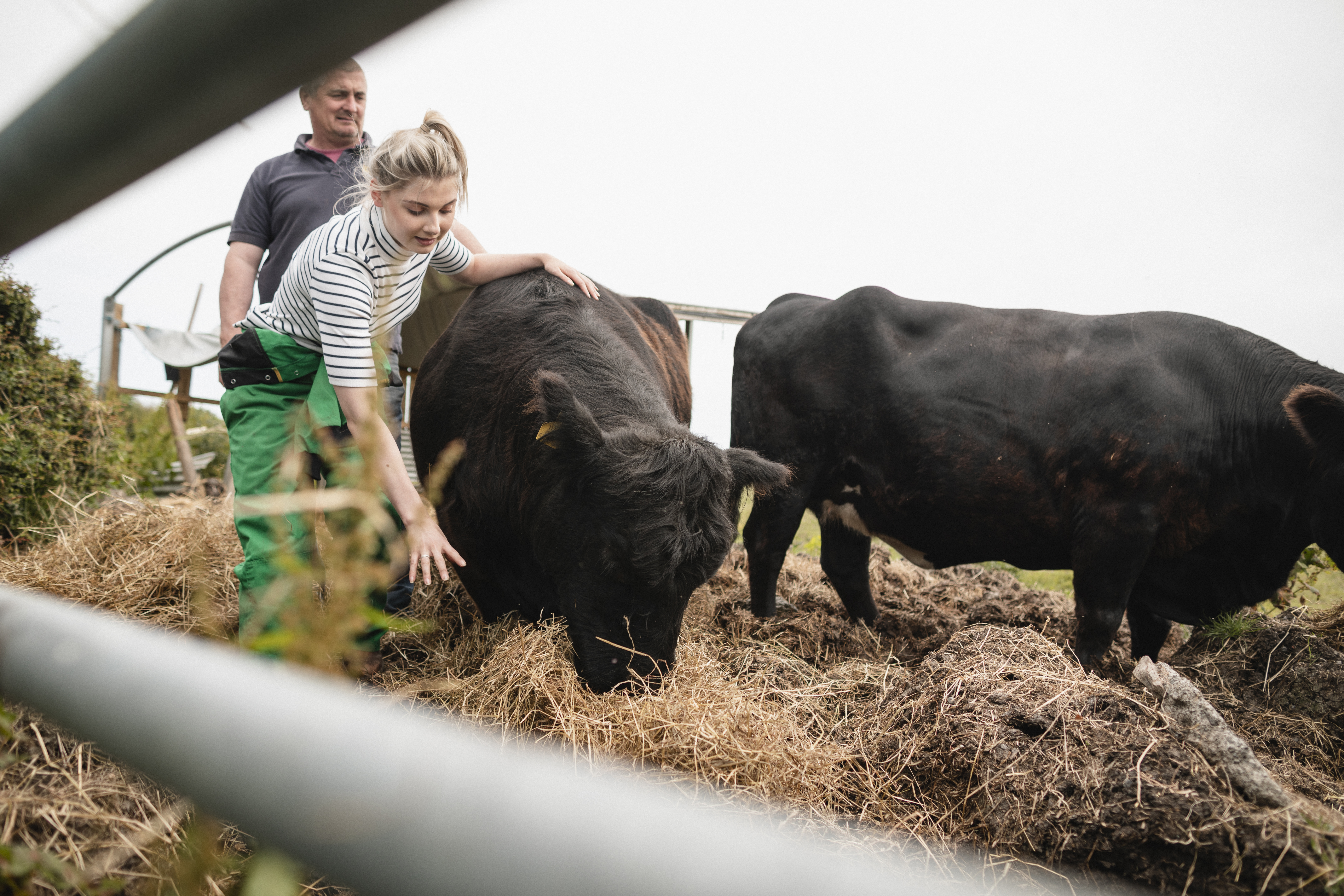 A male and female farmer herd cows into a pen outside